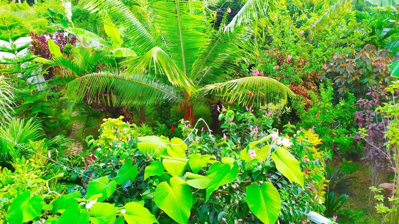 Villa Modara Tangalle Kültér fotó