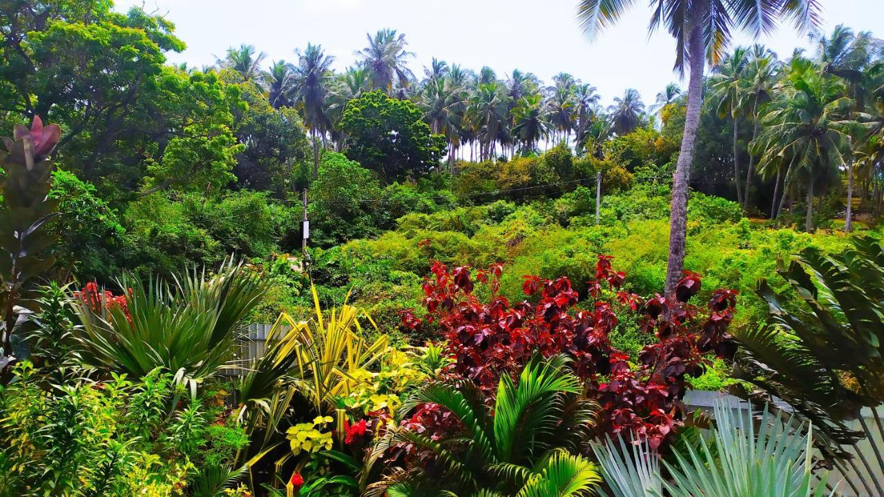 Villa Modara Tangalle Kültér fotó