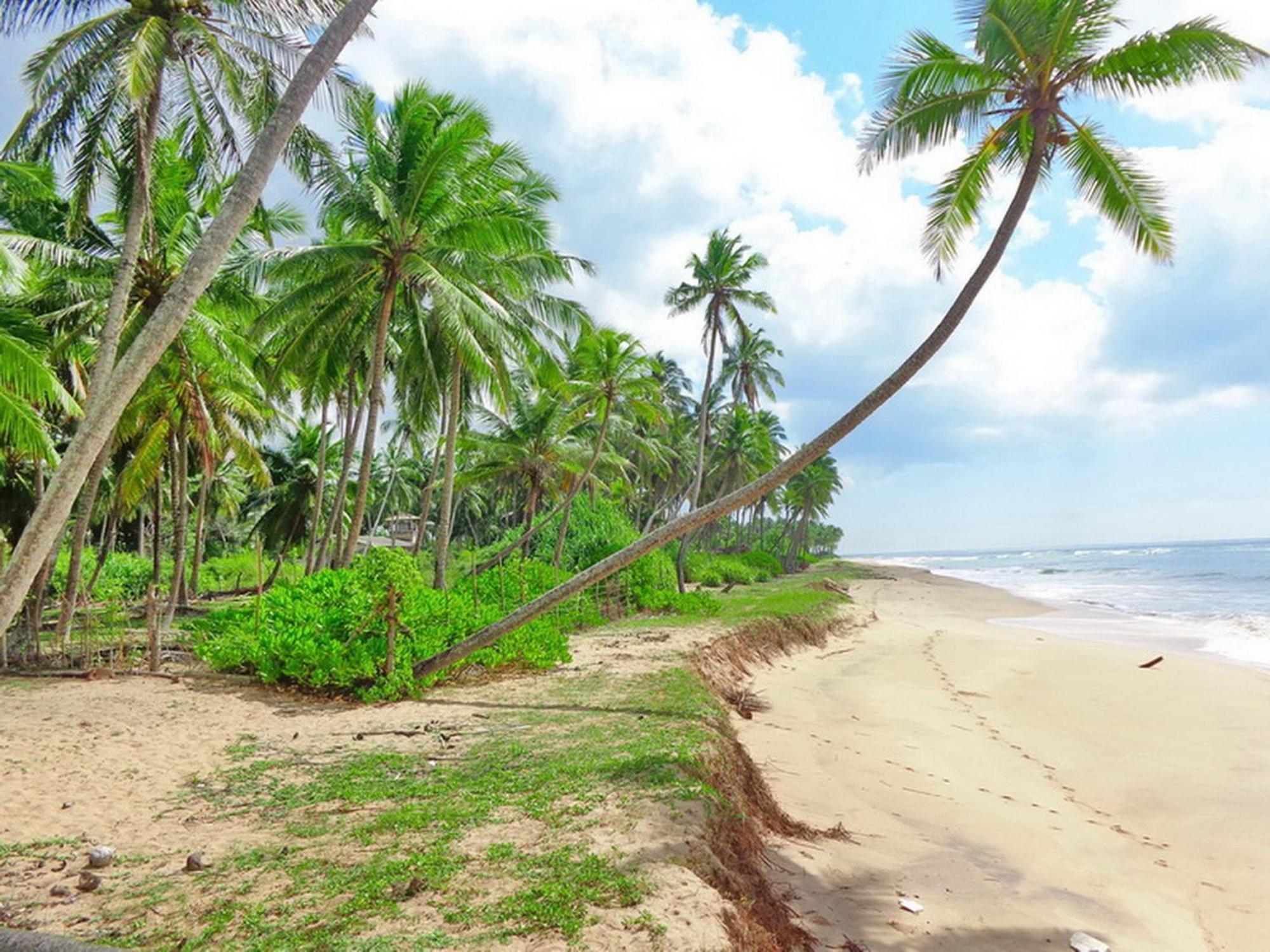 Villa Modara Tangalle Kültér fotó